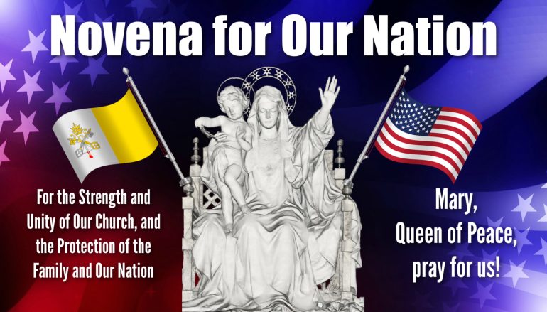 Day 48, Novena for Our Nation – King: Shock Troops