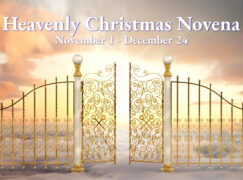 Day 3 – Heavenly Christmas Novena – Building Your Holy Alliance!
