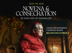 Cardinal Burke Invites You For A Nine Day Novena