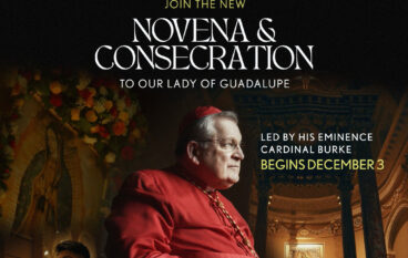 Cardinal Burke Invites You For A Nine Day Novena